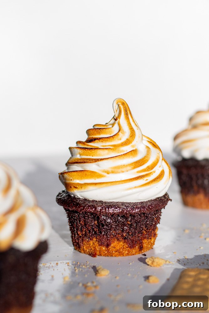 s'mores cupcakes