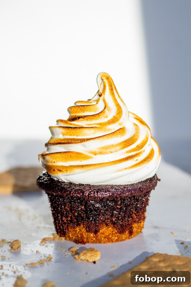 s'mores cupcakes