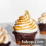 s'mores cupcakes