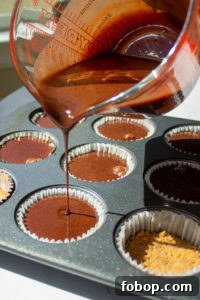 s'mores cupcakes