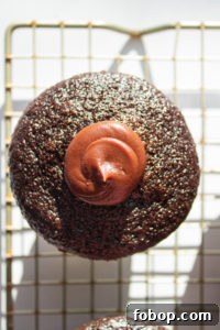 chocolate cupcake