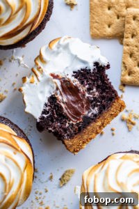 s'mores cupcakes