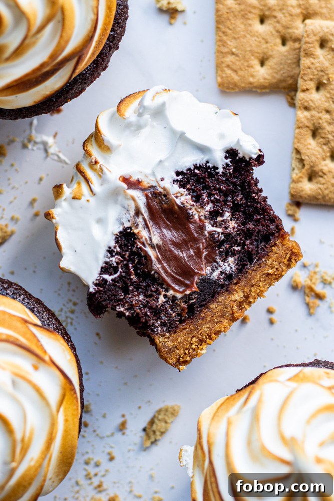 s'mores cupcakes