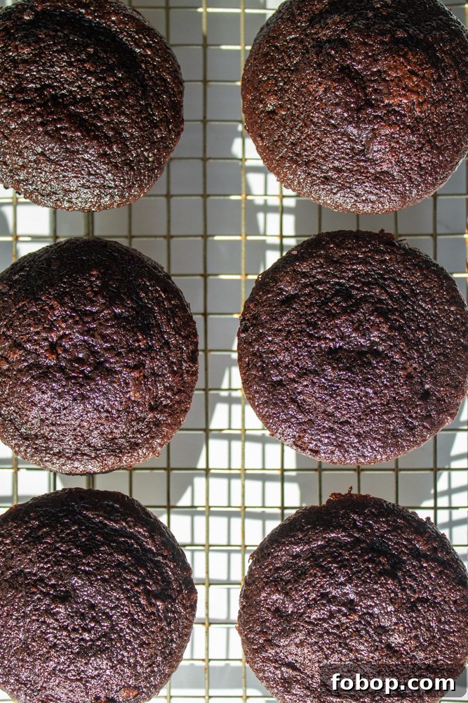 chocolate cupcake