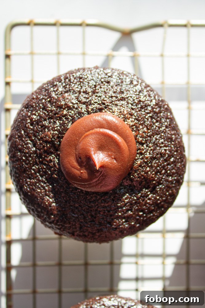 chocolate cupcake