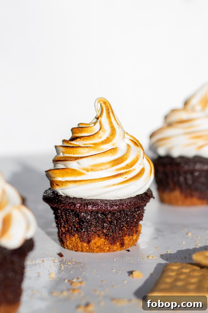 s'mores cupcakes