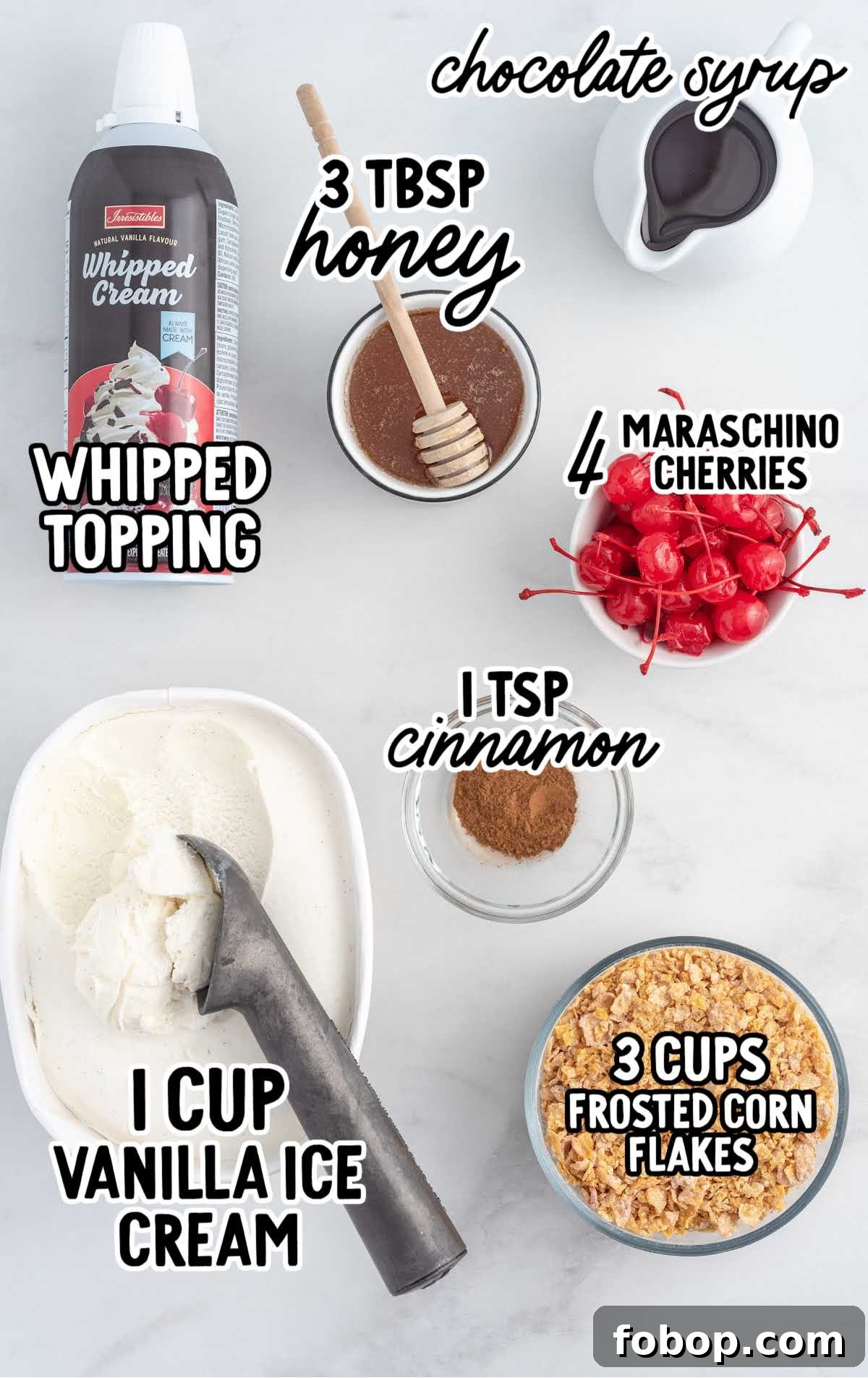 Authentic Mexican Fried Ice Cream Recipe: Crispy Cinnamon Sundae 3 Mexican Ice Cream raw ingredients that are labeled