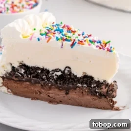 Authentic Mexican Fried Ice Cream Recipe: Crispy Cinnamon Sundae 8 A slice of Copycat Dairy Queen Ice Cream Cake with chocolate and vanilla ice cream, a chocolate cookie crust, whipped cream topping, and colorful sprinkles, served on a white plate.