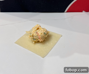 Crispy Shrimp and Crab Rangoons with Sweet Chili Dip 17 img 2404 17