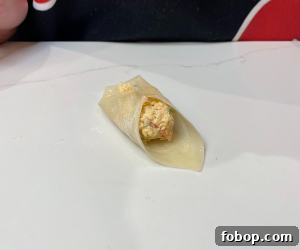 Crispy Shrimp and Crab Rangoons with Sweet Chili Dip 19 img 2404 19