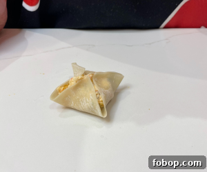 Crispy Shrimp and Crab Rangoons with Sweet Chili Dip 20 img 2404 20
