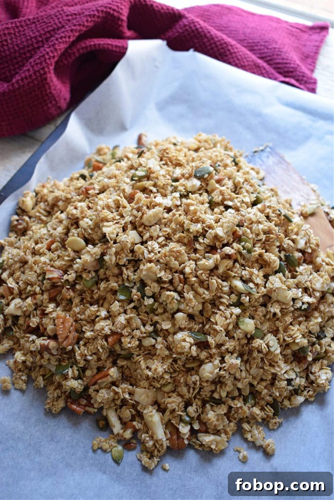 Cranberry Pecan Granola Recipe: Homemade Crunchy Breakfast Mix 11 img 24536 10