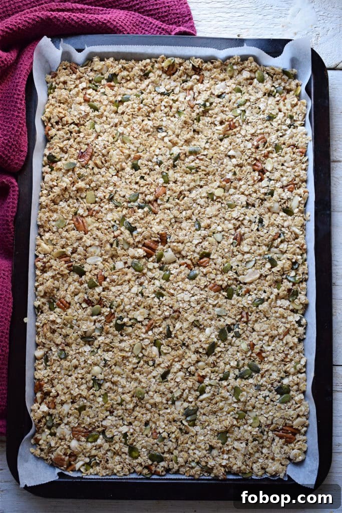 Cranberry Pecan Granola Recipe: Homemade Crunchy Breakfast Mix 12 img 24536 11