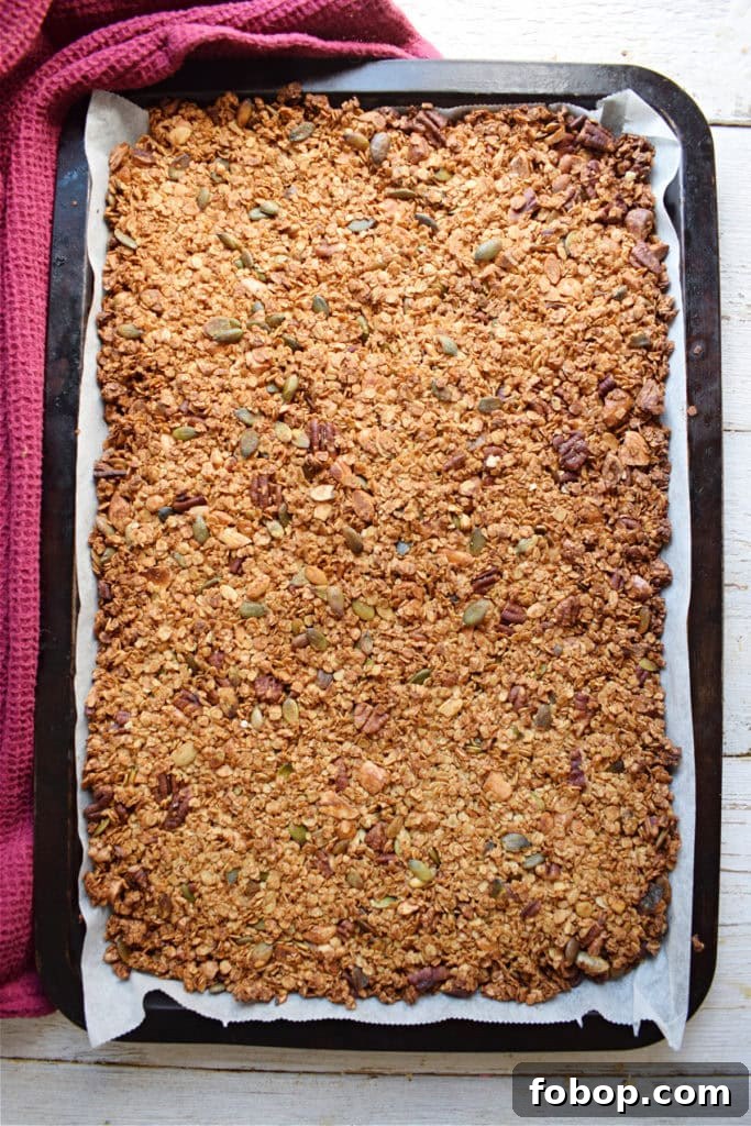 Cranberry Pecan Granola Recipe: Homemade Crunchy Breakfast Mix 13 img 24536 12