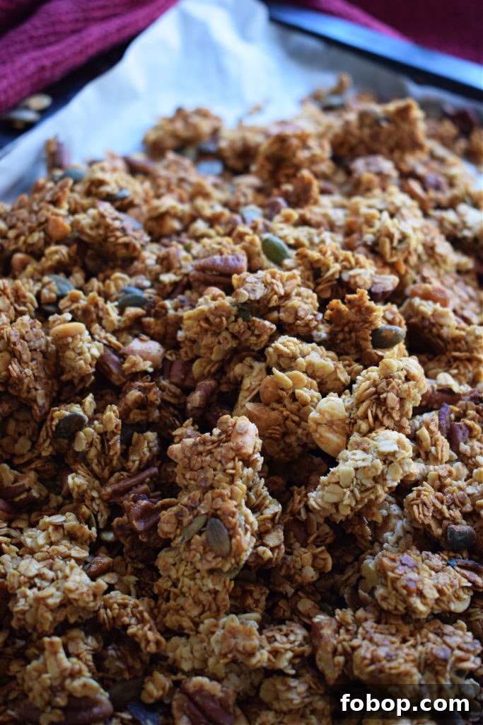 Cranberry Pecan Granola Recipe: Homemade Crunchy Breakfast Mix 14 freshly baked pecan cranberry granola