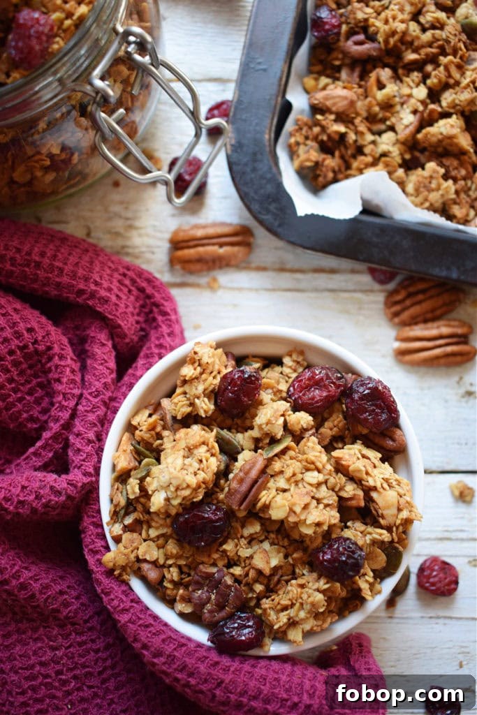 Cranberry Pecan Granola Recipe: Homemade Crunchy Breakfast Mix 16 over head view of the cranberry pecan granola