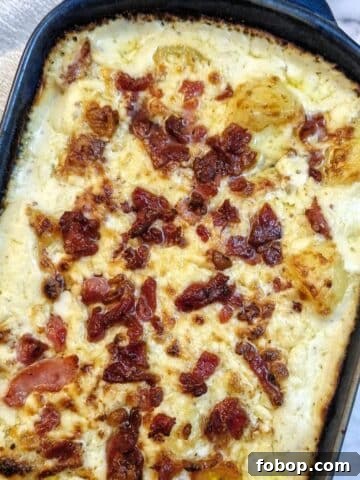 Overhead shot of a dish of cheesy potato casserole topped with grated cheese and bacon pieces.