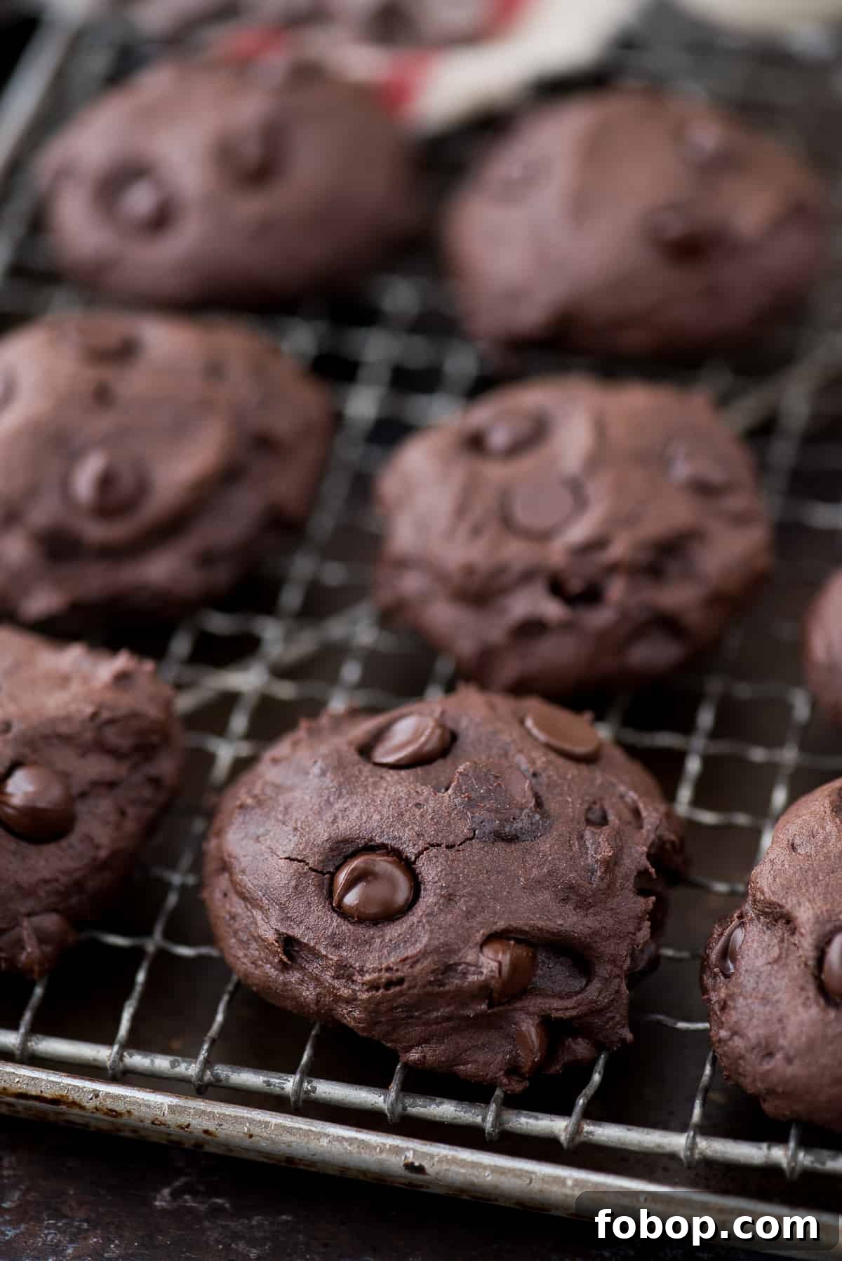 Healthier Dark Chocolate Coconut Oil Cookies Eight healthier dark chocolate coconut oil cookies with chocolate chips on a cooling rack.