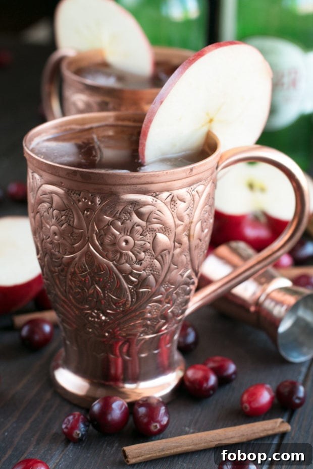 Cranberry Cider Irish Mule Cocktail Recipe 2 Cranberry Cider Irish Mule