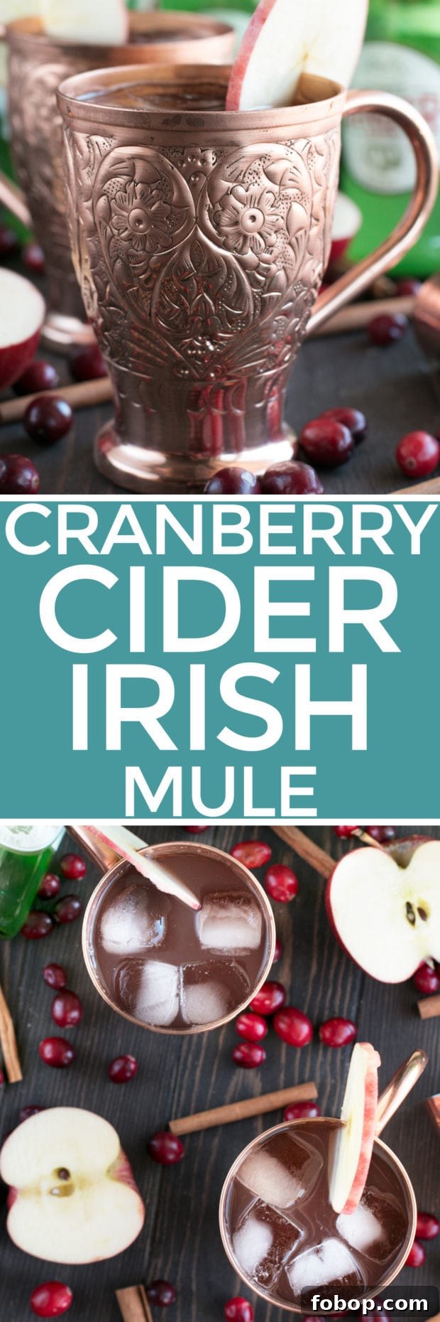 Cranberry Cider Irish Mule Cocktail Recipe 10 Cranberry Cider Irish Mule