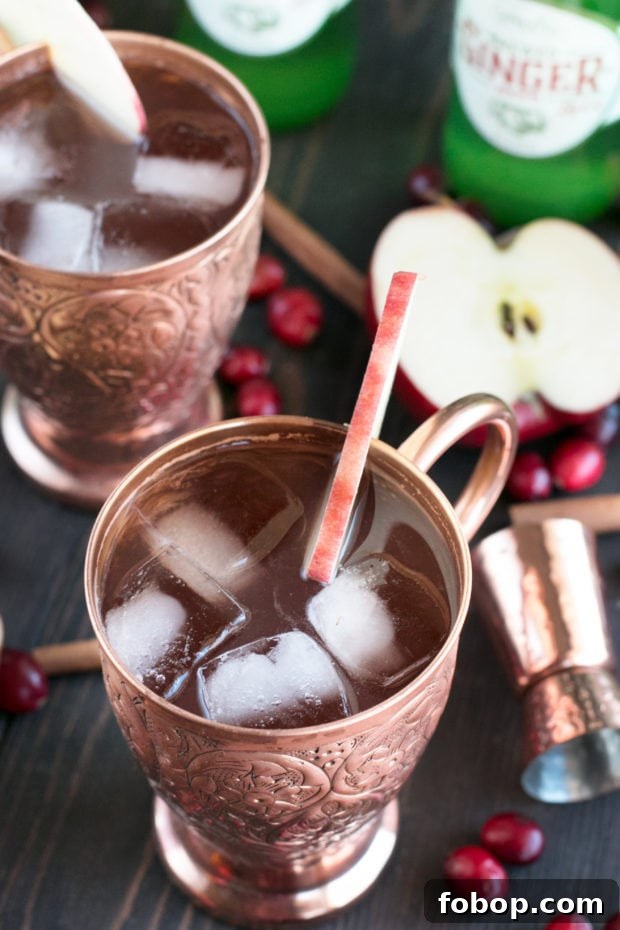 Cranberry Cider Irish Mule Cocktail Recipe 4 Cranberry Cider Irish Mule