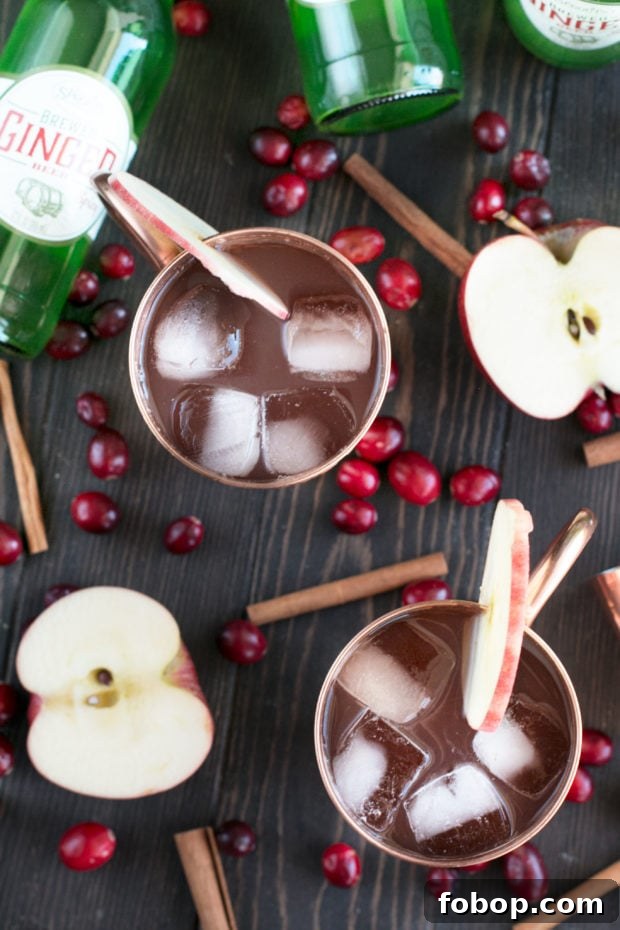 Cranberry Cider Irish Mule Cocktail Recipe 6 Cranberry Cider Irish Mule