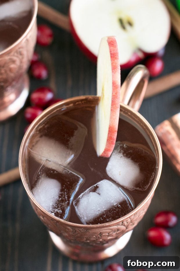 Cranberry Cider Irish Mule Cocktail Recipe 9 Cranberry Cider Irish Mule