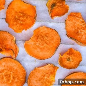 Sweet Potato Chips