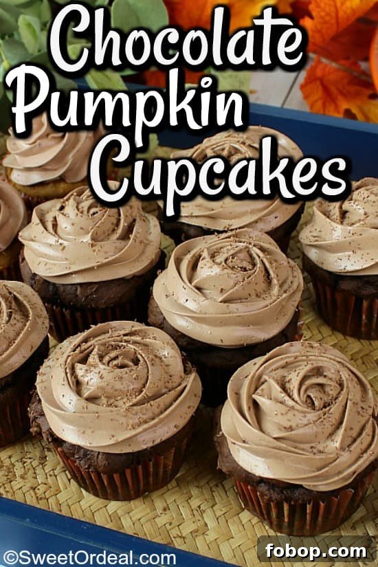 Chocolate Pumpkin Cupcakes are super moist and super easy to make. Low sugar and low calorie, but you'd never know it. Cupcakes with rosette frosting.