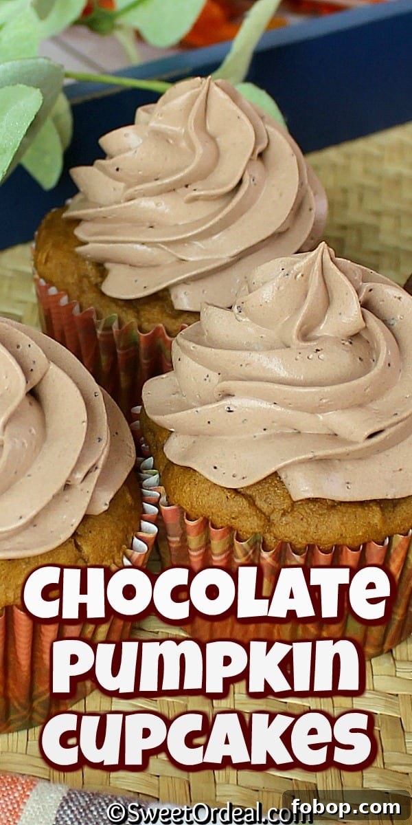Chocolate Pumpkin Cupcakes require only 6 ingredients total. Easy and delicious. Frosted Fall cupcakes.