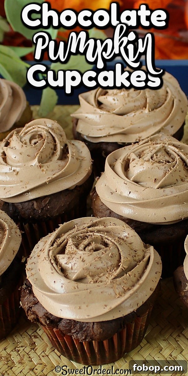 Chocolate Pumpkin Cupcakes are loaded with flavor, but not calories or sugar. Shaved chocolate topping frosted Fall cupcakes.