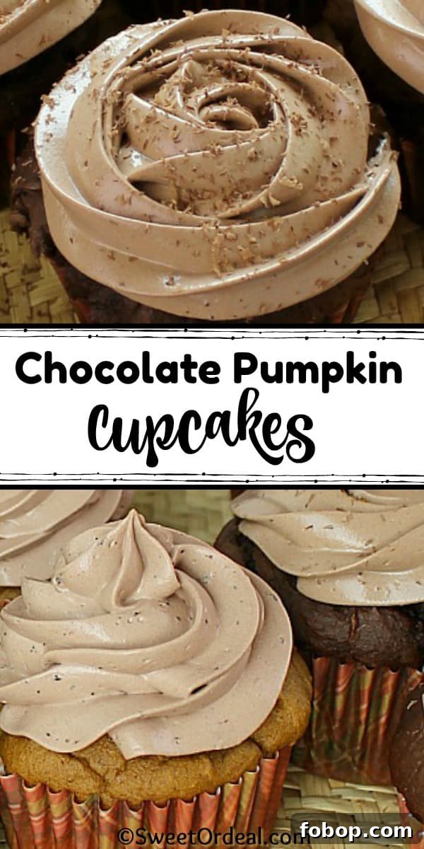 Chocolate Pumpkin Cupcakes are a Fall Favorite, not too sweet, and very moist. Chocolate frosting on pumpkin flavored cupcakes.