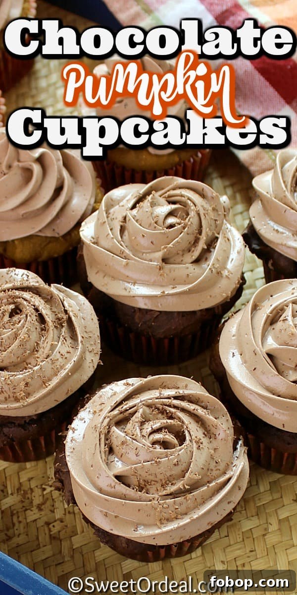 This Chocolate Pumpkin Cupcakes recipe is super easy. Frosting is easy to pipe, too. Chocolate Pumpkin Cupcakes