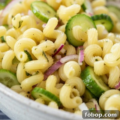 Easy and Delicious Cucumber Pasta Salad Recipe #pastasalad #cucumber #easy #recipe #pasta #summer #picnic