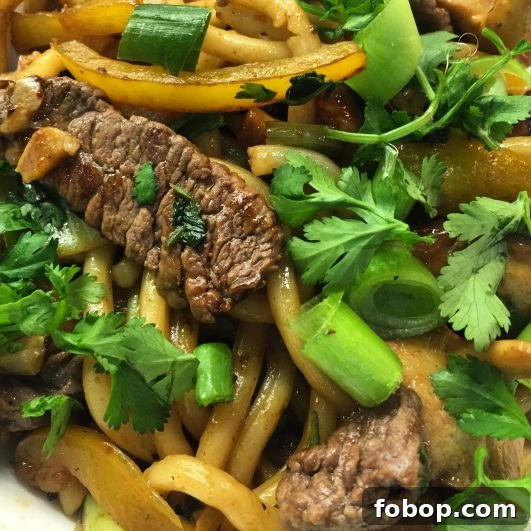 Savory Beef Udon Noodles Recipe for Quick Weeknight Dinner 4 img 2892 3