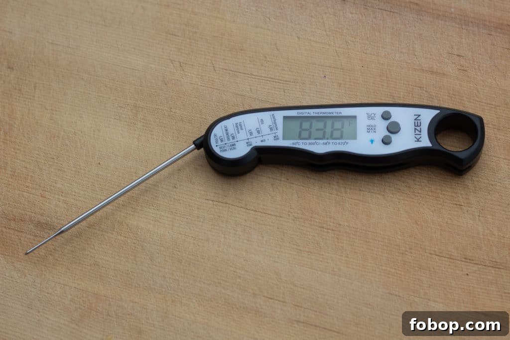 Kizen thermometer buttons and probe