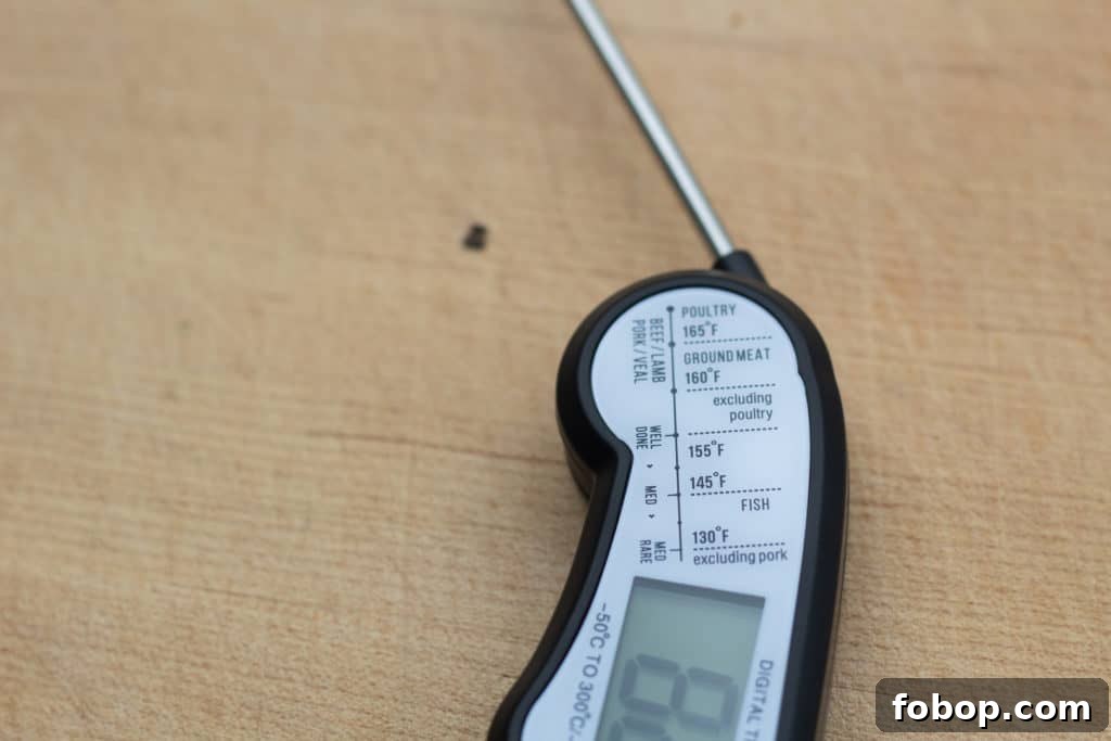 Kizen thermometer folded probe