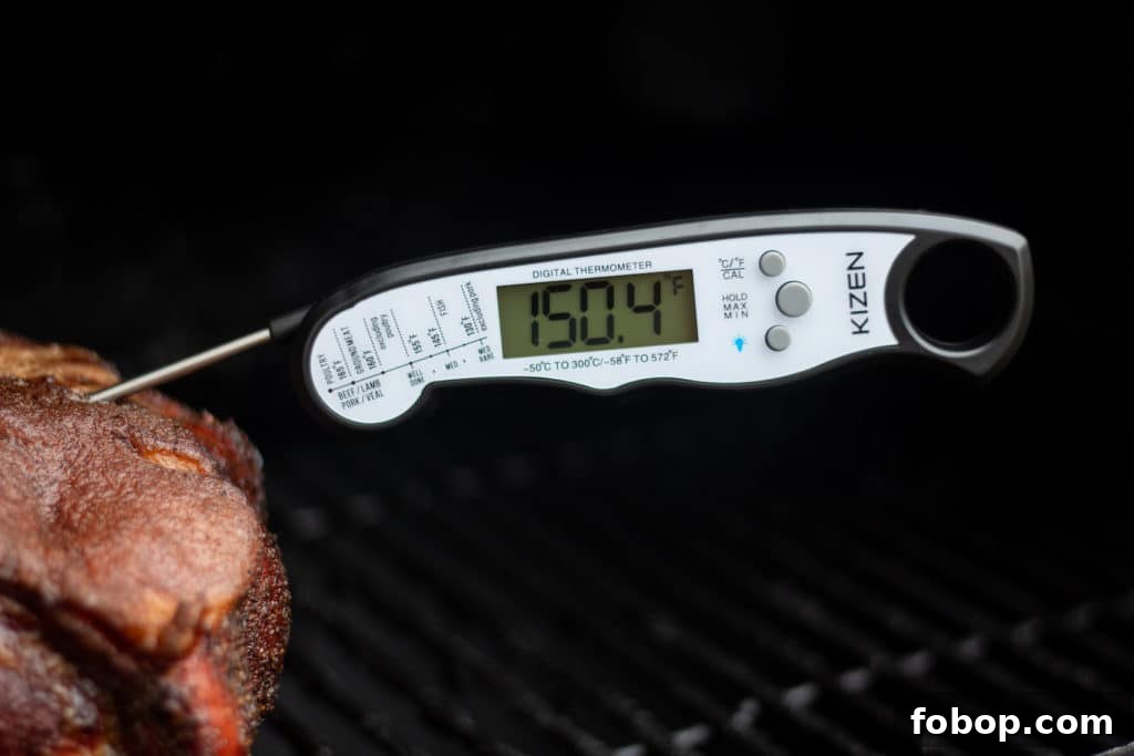 Kizen thermometer probe in meat