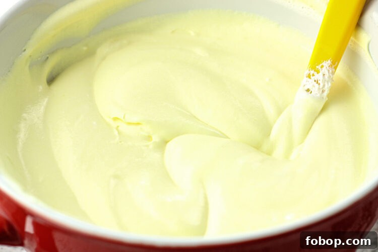 mixed lemon dip in a red mixing bowl