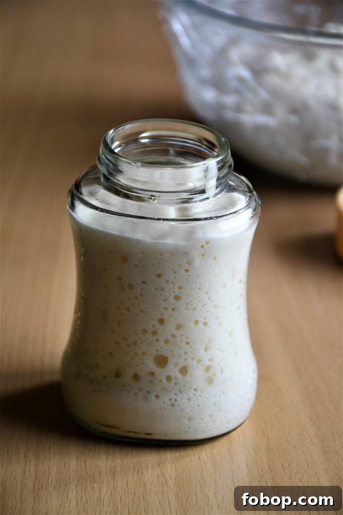 Convert a Yeast Recipe to Sourdough: A Practical Guide for Bakers 3 img 30080 2