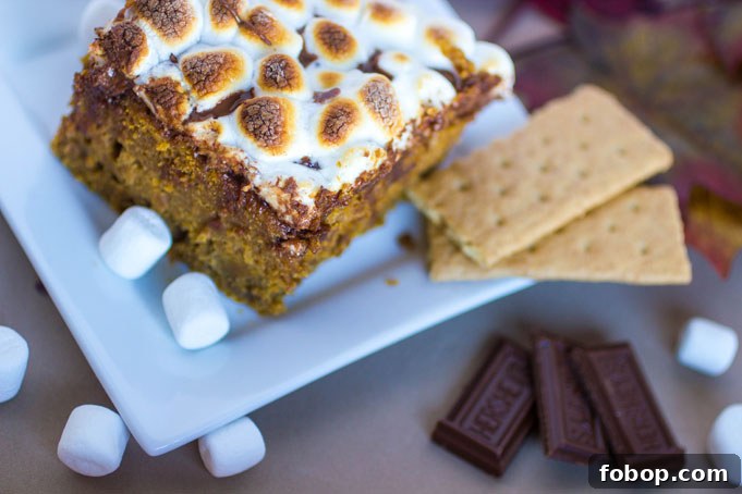Pumpkin S'mores Cake