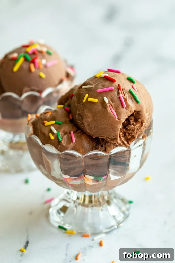 chocolate ice cream in a clear dish and topped with colorful sprinkles