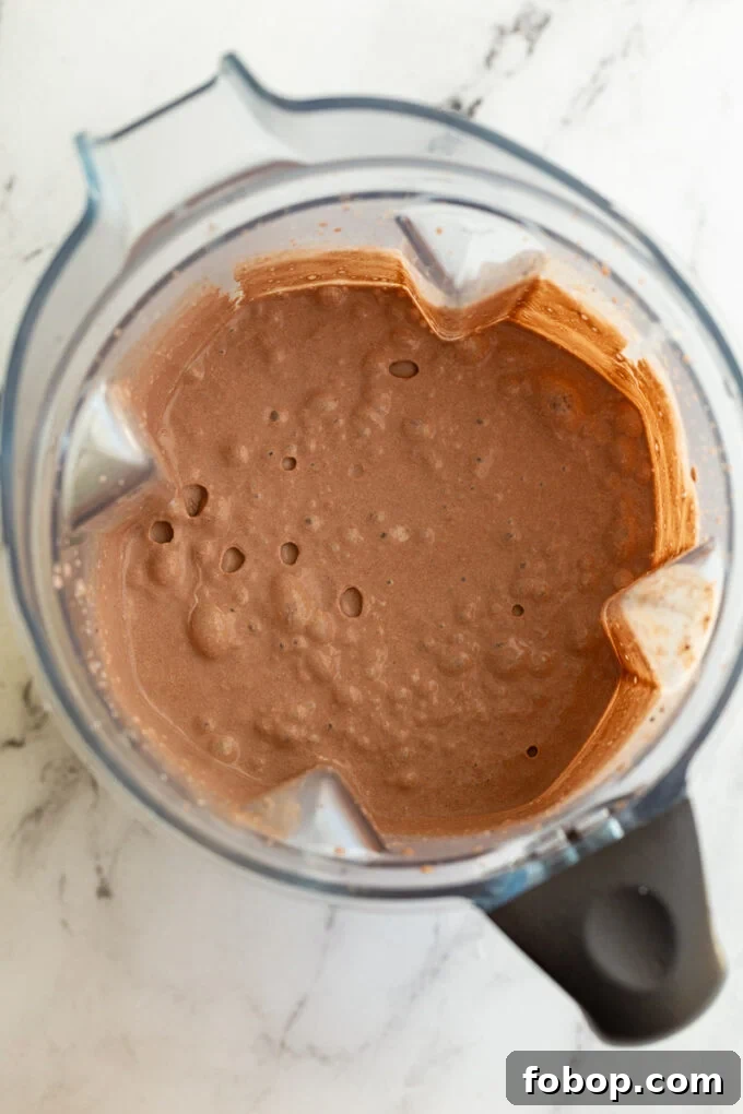 chocolate ice cream in a blender before it's been frozen