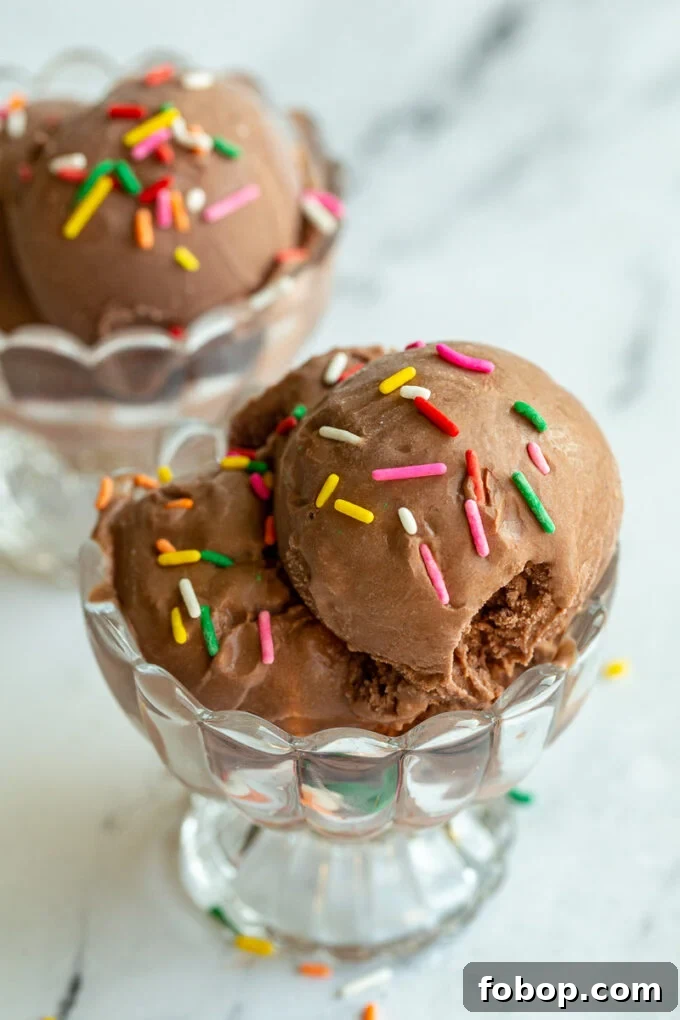 chocolate ice cream in a clear dish and topped with colorful sprinkles