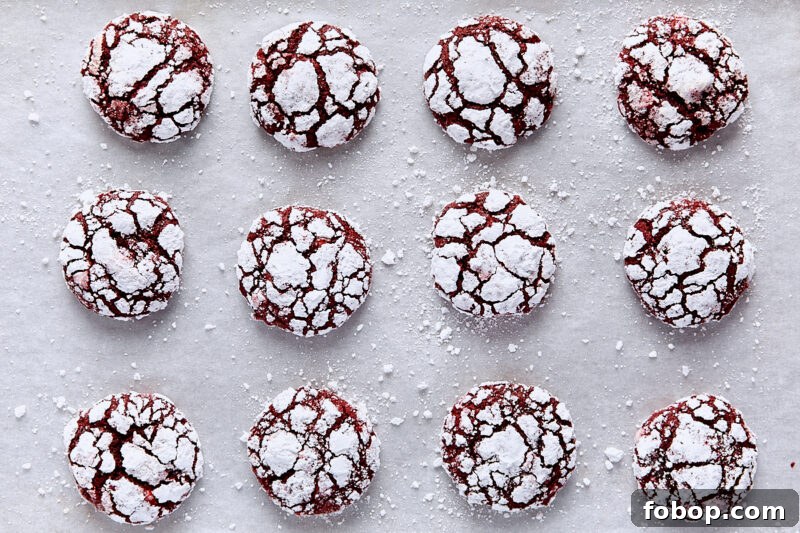 Red Velvet Crinkle Cookies Recipe – Soft, Fudgy Cookies 12 Baked red velvet crinkle cookies on parchment-lined baking sheet