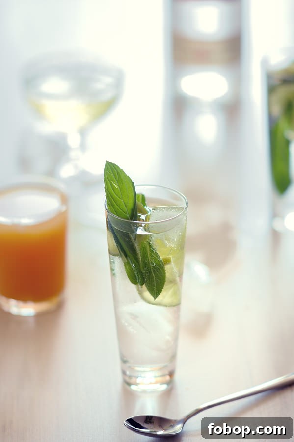 mojito cocktail