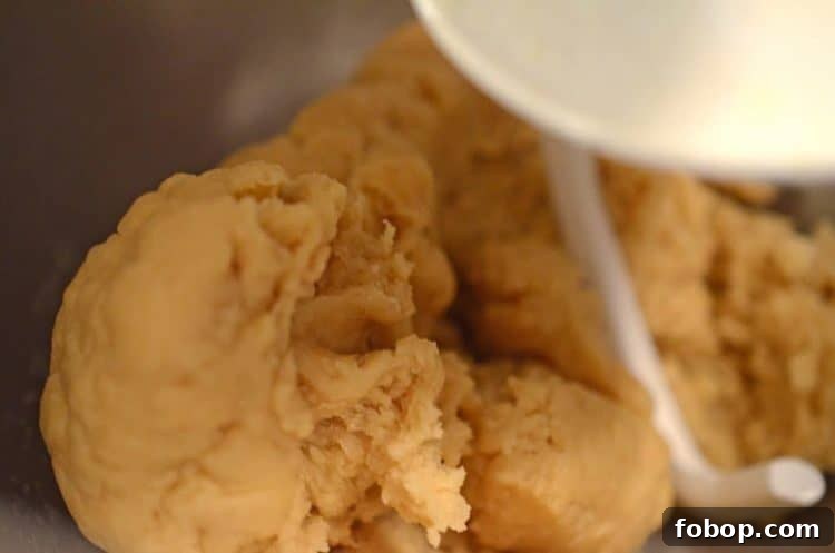 bread dough being mixed