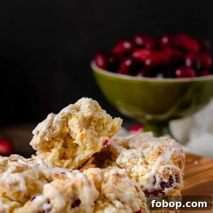 Keep winter breakfast bright with these flavorful fresh cranberry orange scones! Make the dough ahead and freeze, or mix and bake in under an hour. This easy buttermilk scone recipe is a great way to use fresh cranberries! * Recipe on GoodieGodmother.com