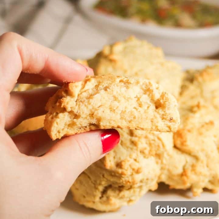 easy gluten free biscuits recipe dairy free, too