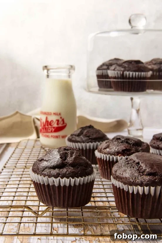 Perfectly Flaky Morning Buns: Cinnamon Sugar Pastry Recipe 7 Chocolate muffins cooling on a wire rack.